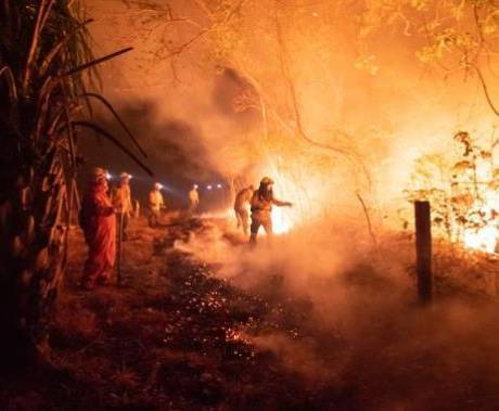 skupina hasičů stojící před hořícím lesem