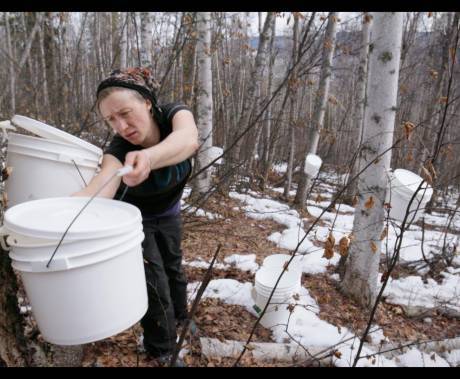 žena v zasněženém lese věší kyblíky na stromy