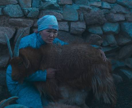 The Wolves Always Come at Night