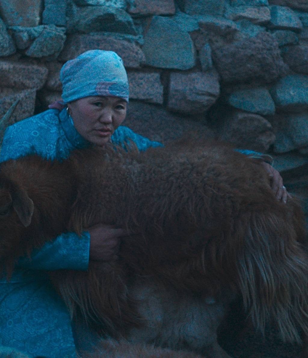 The Wolves Always Come at Night